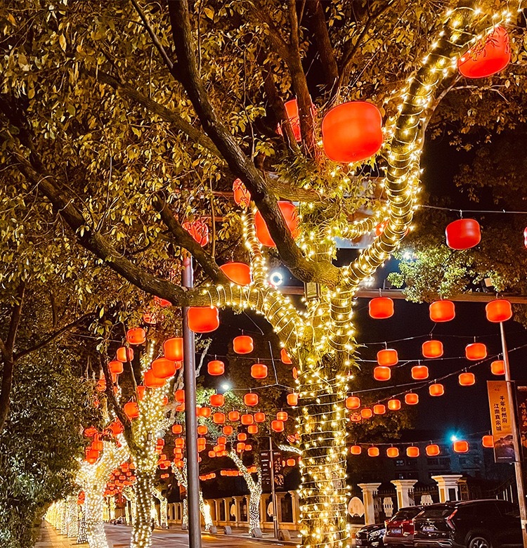 Colorful string lights, starry sky, outdoor waterproof tree wrap decoration, dense string lights, neon lights, star lights pic 1