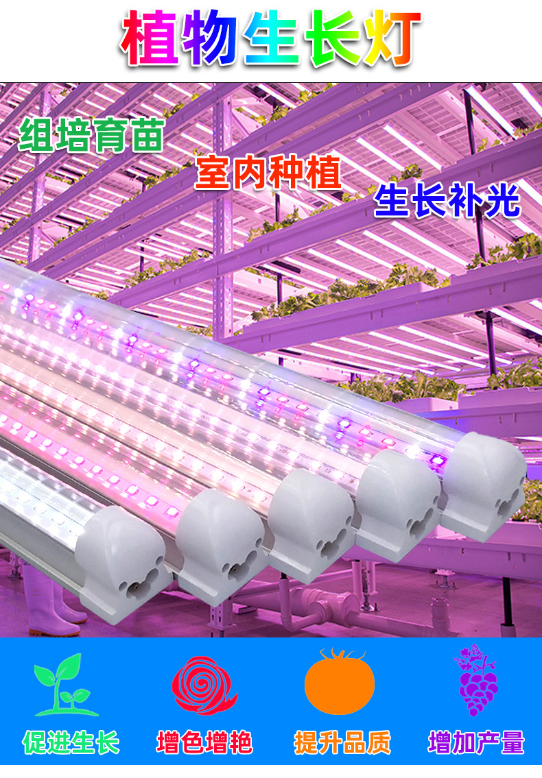 T8全光谱植物灯LED室内蔬菜育苗植物生长灯温室大棚多肉补光灯详情3