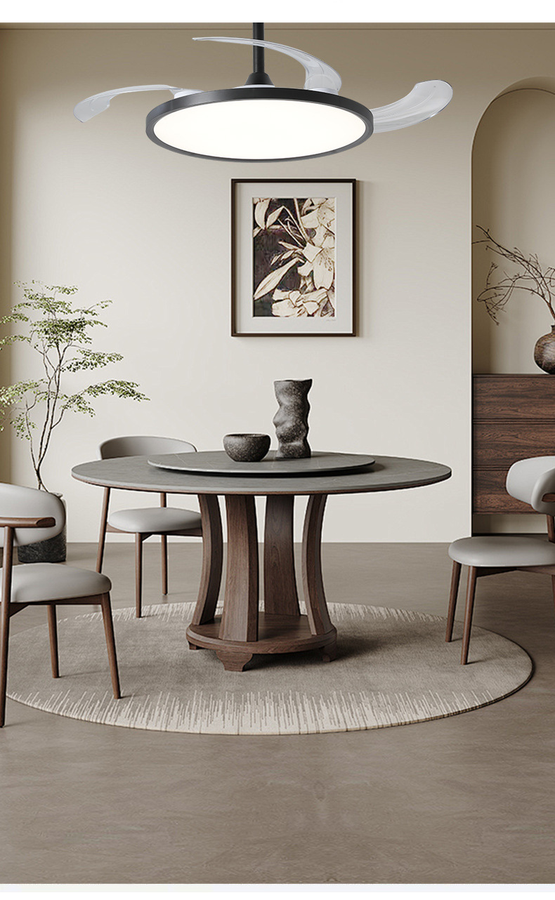 普瑞全光谱98显超薄吸顶灯客厅灯黑客厅大厅主灯 中山家装灯饰详情19