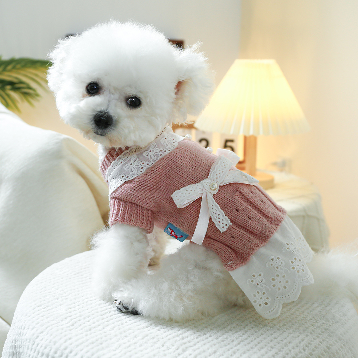 T Elegant princess cat and dog clothes, pet dog and cat warm and comfortable home clothes for autumn and winter, dog clothes, pet skirts pic 9