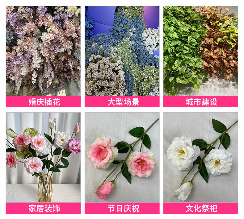 应用场景.jpg