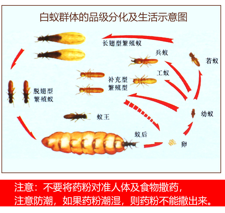 严选75克柏松白蚁杀虫粉消灭白蚁传染全巢死亡杀除白蚁家用白蚁药详情6