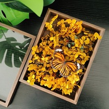 相框中空标本框木质玻璃立体黑色蝴蝶昆虫装裱自装摆台展示画框详情28