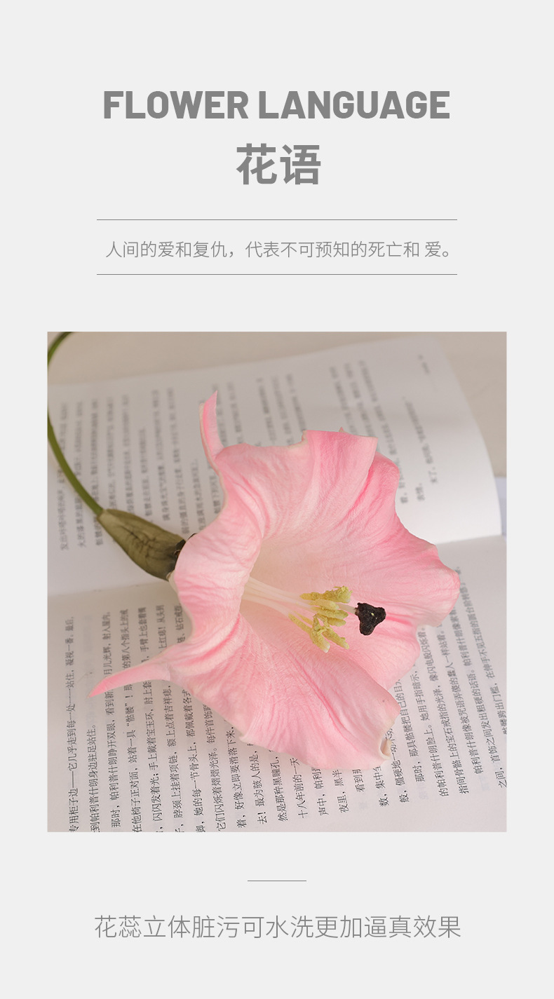 新款PU手感仿真曼陀罗婚礼挂壁垂吊绿植装饰批发宠物园艺花盆容器详情14