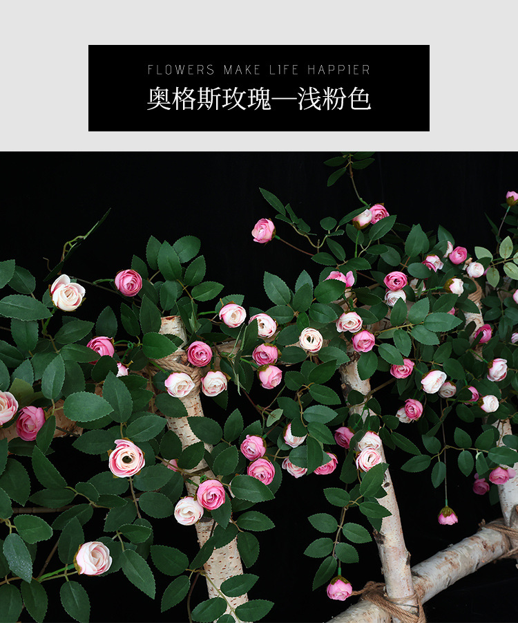 未标题-1_22