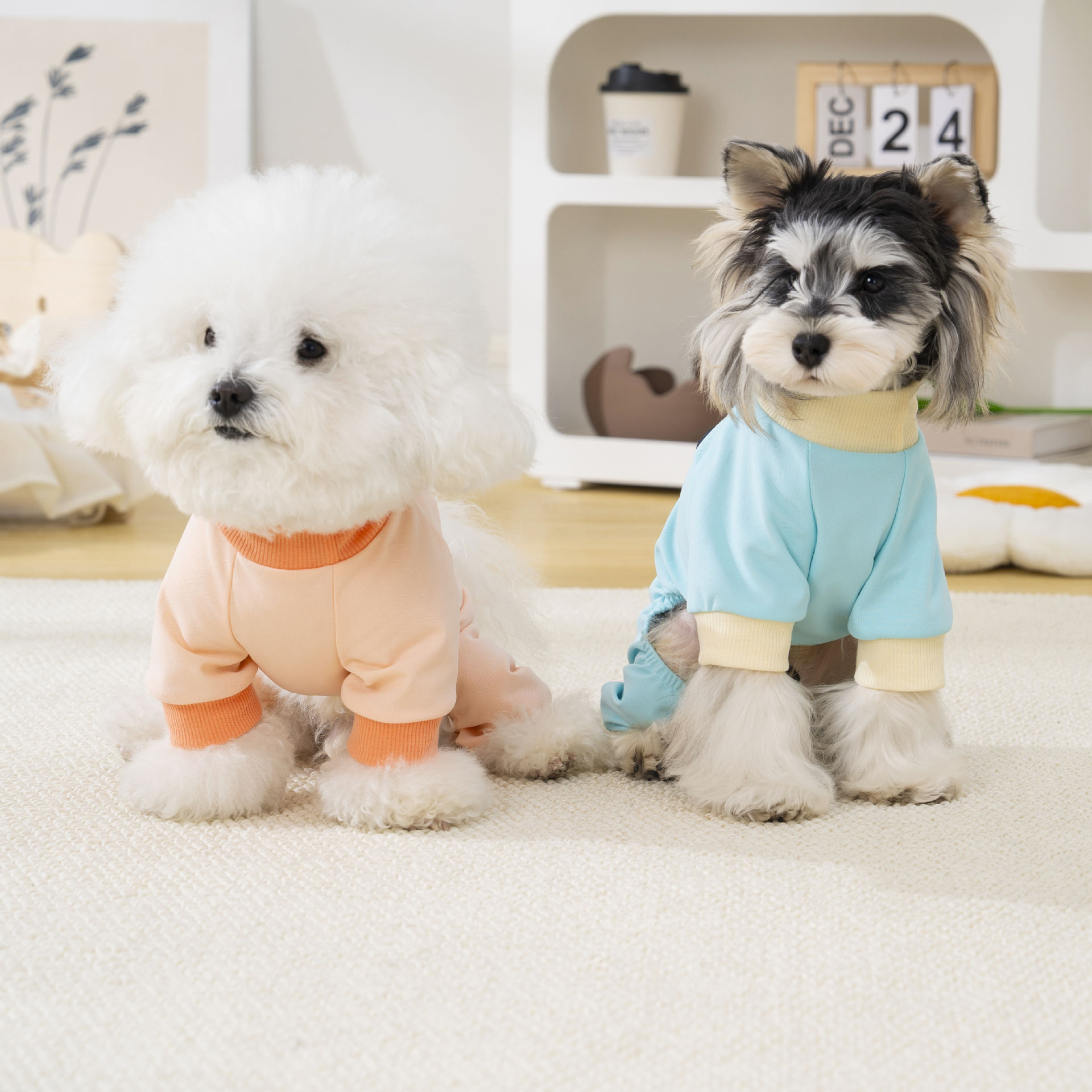 宠物狗狗春秋装居家休闲四脚衣比熊泰迪雪纳瑞可牵引薄款狗衣服详情11