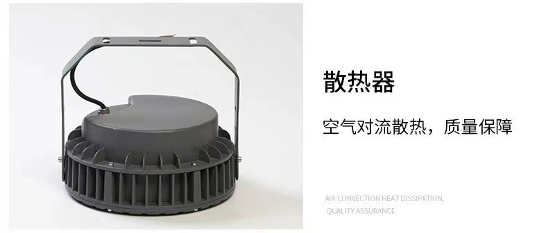 照树灯景观射灯户外七彩灯led投光灯花园射树灯插地灯绿化灯室外详情8