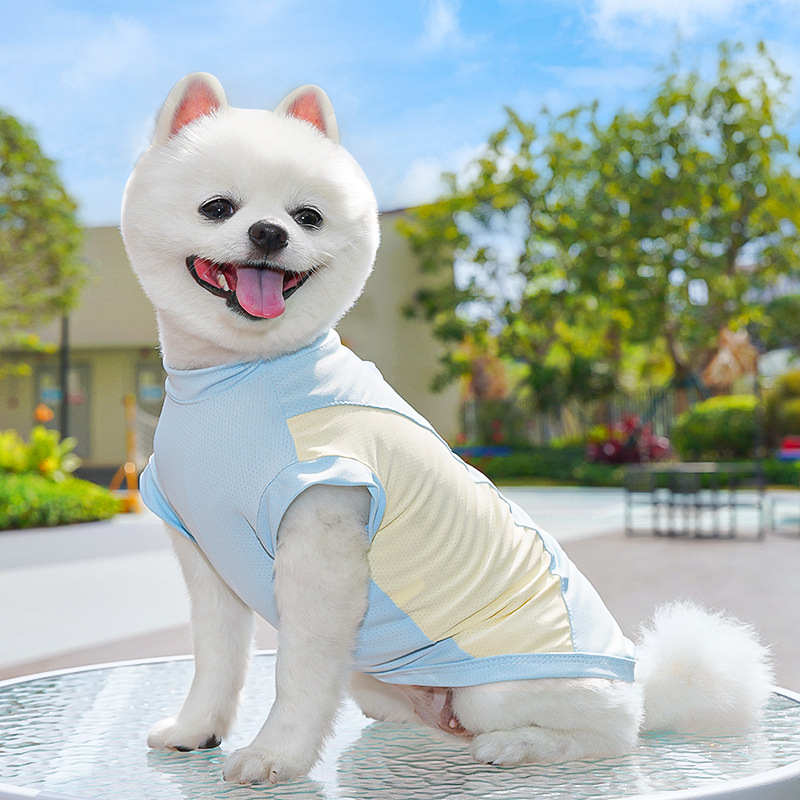 春夏季狗狗用品猫咪冰丝猫背心小中型犬外出防晒狗衣服宠物衣服详情27