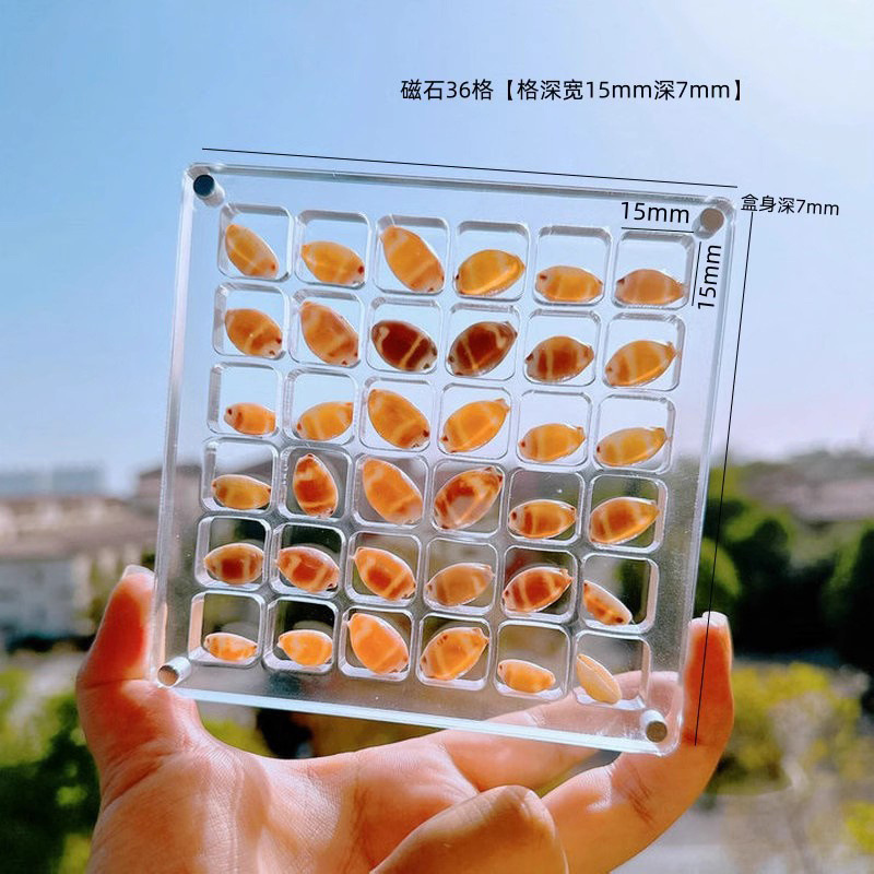 亚克力贝壳收纳盒透明微型石头海边标本相框展示收藏昆虫收集盒子详情7