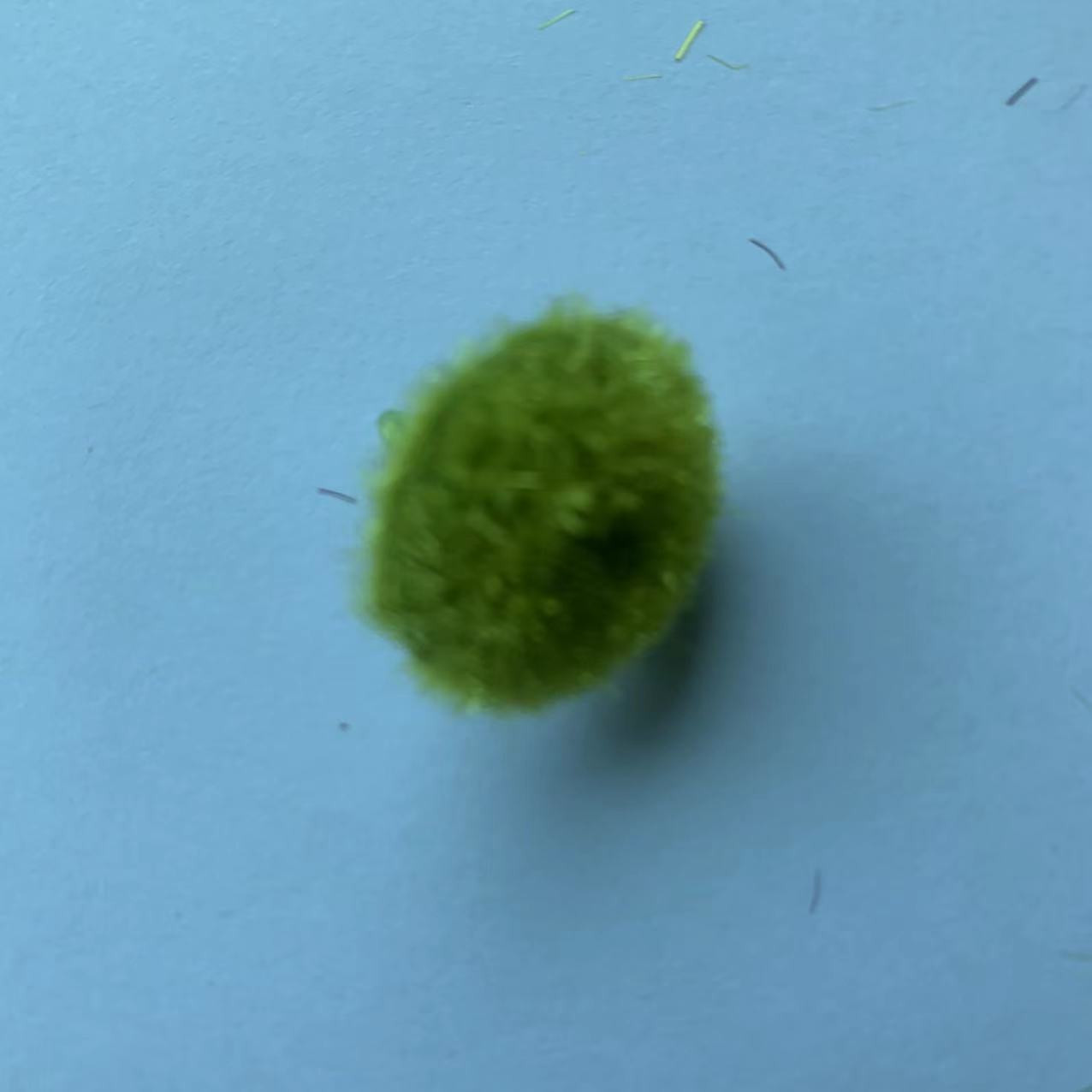 微信图片_202203111126344