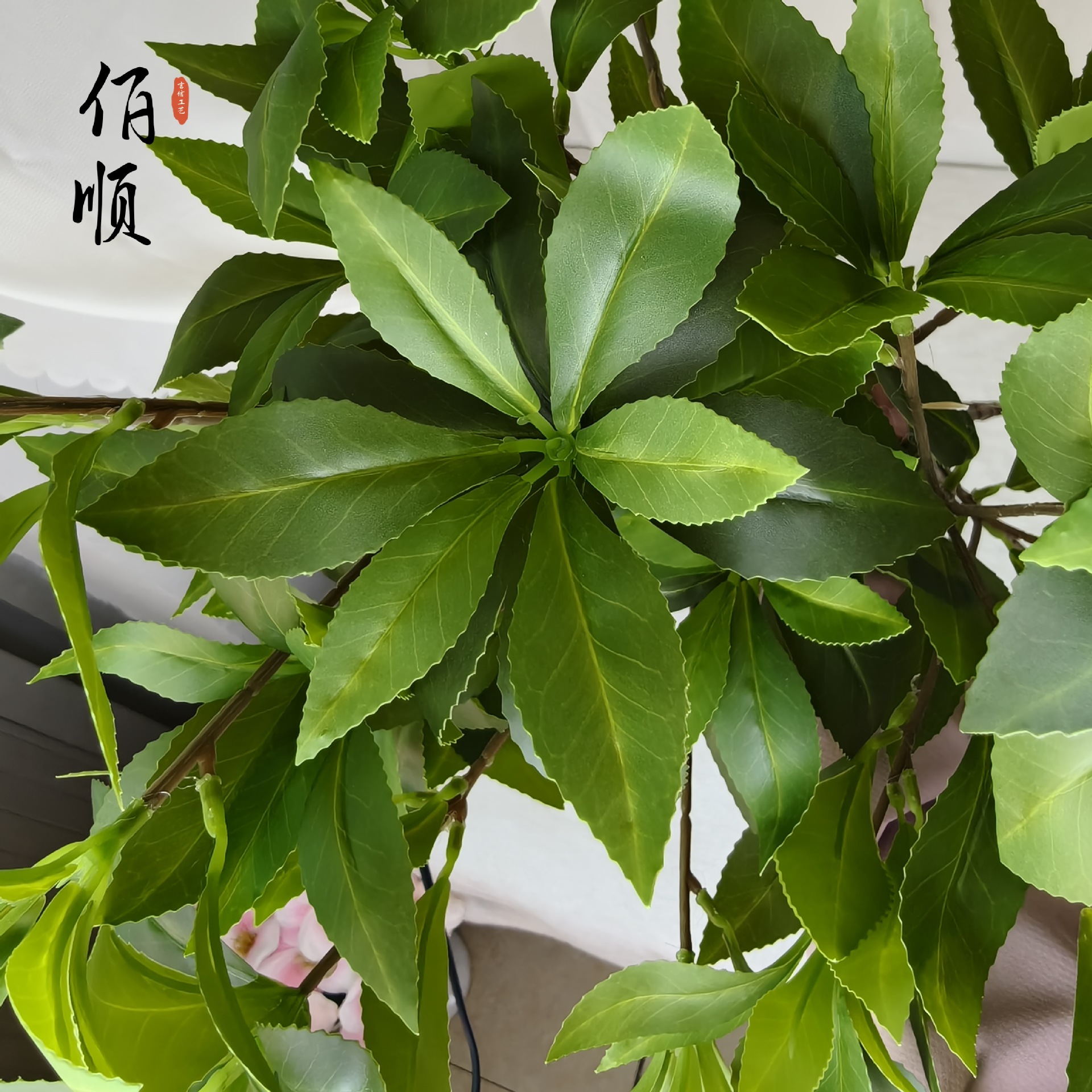 2025新款马醉木仿真绿植北欧风客厅办公桌面花艺盆栽宠物园艺水培生态瓶详情14