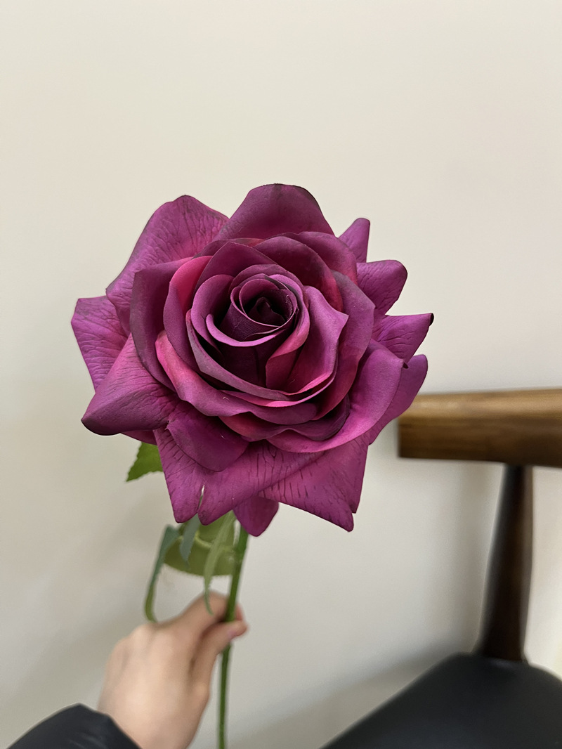 微信图片_20240127155855