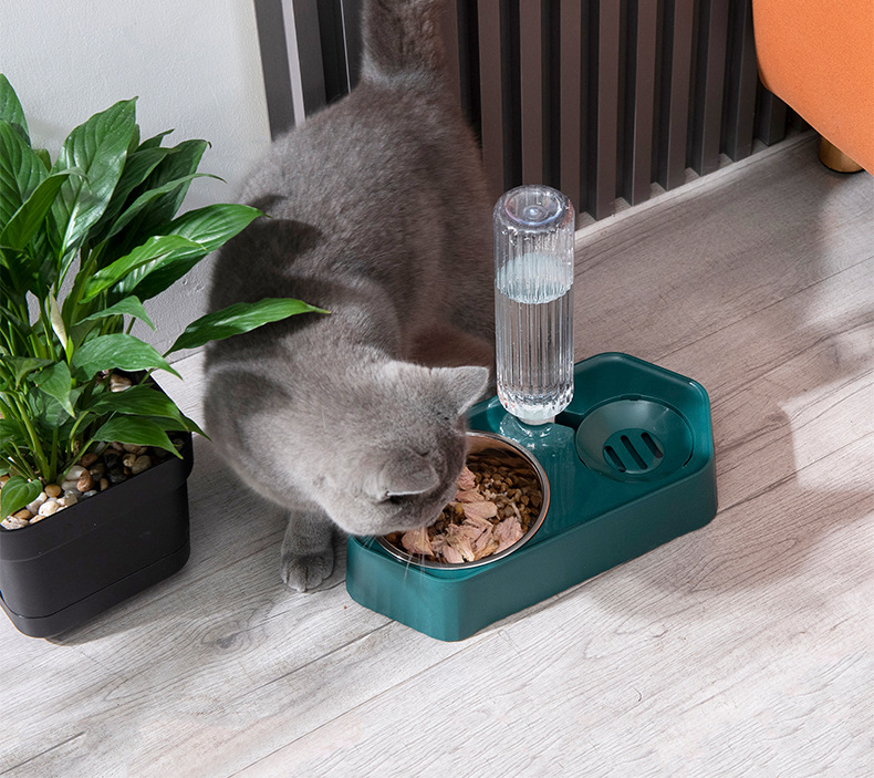 Cat bowls, cat food bowls, dog bowls, dog basins, dog double bowls, cat automatic water dispensers, pet supplies pic 3