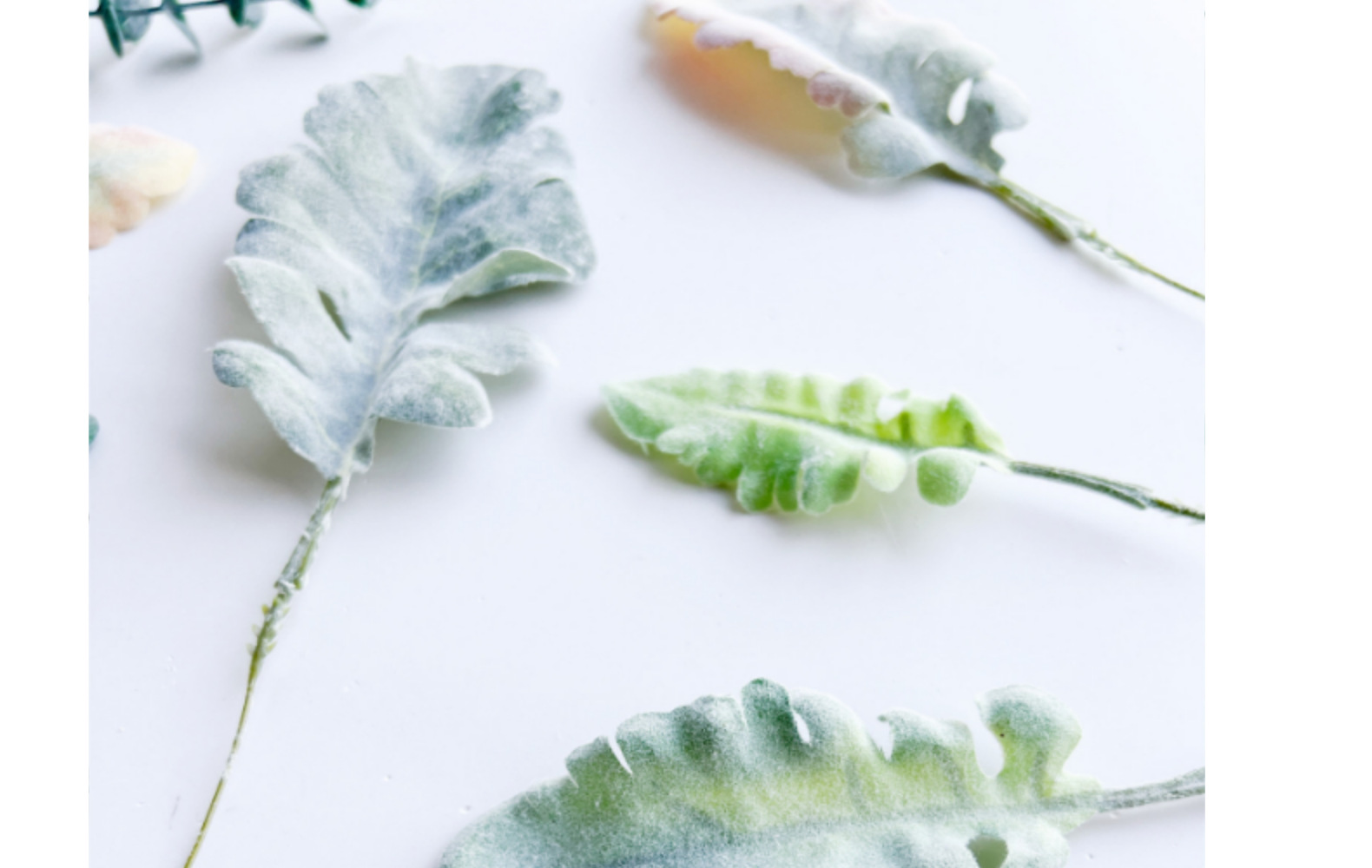 欧式银叶菊兔耳叶叶片配件情人节玫瑰假花餐桌家居绿植软装宠物园艺干花详情22