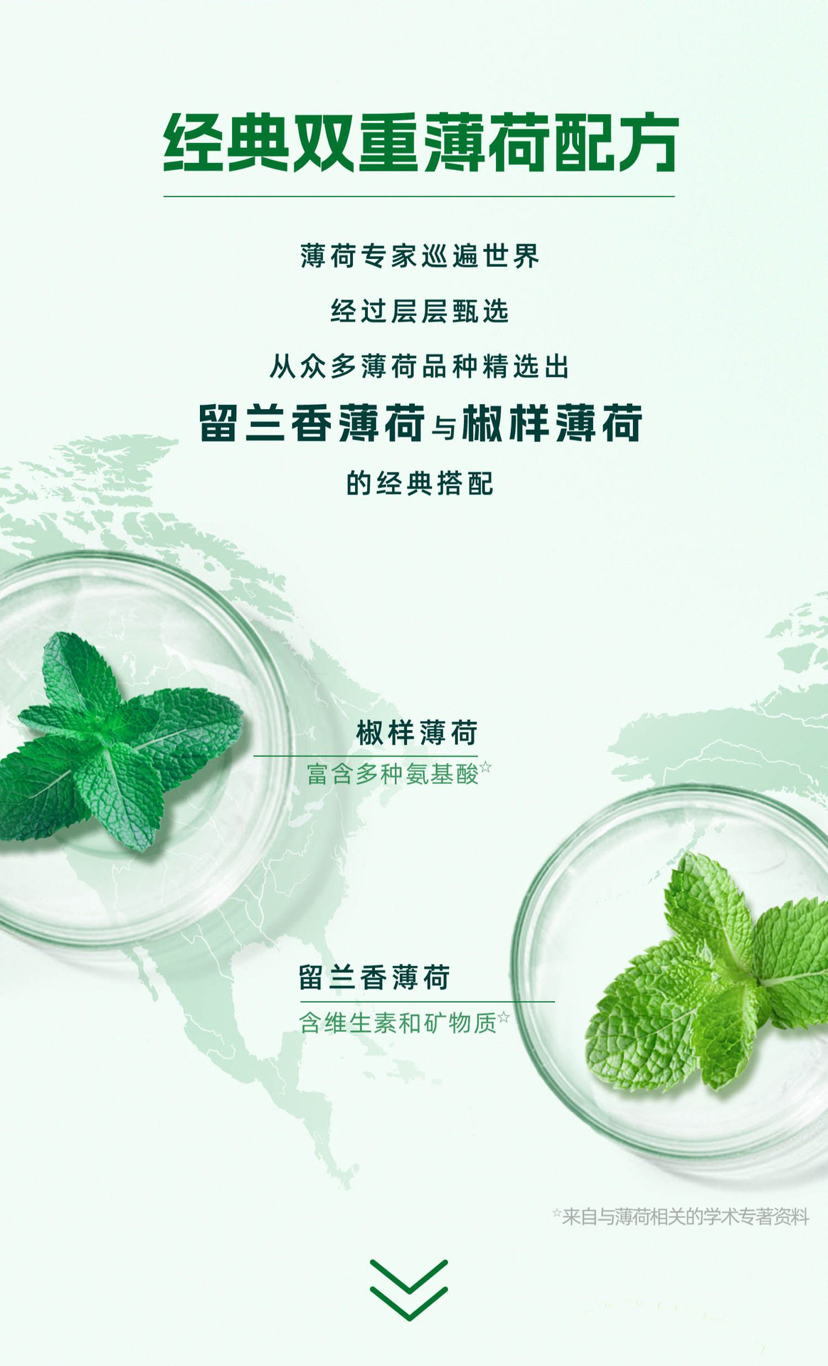 DARLIE好来原黑人牙膏双重薄荷超白系列可选牙膏120g清新口气批发详情4