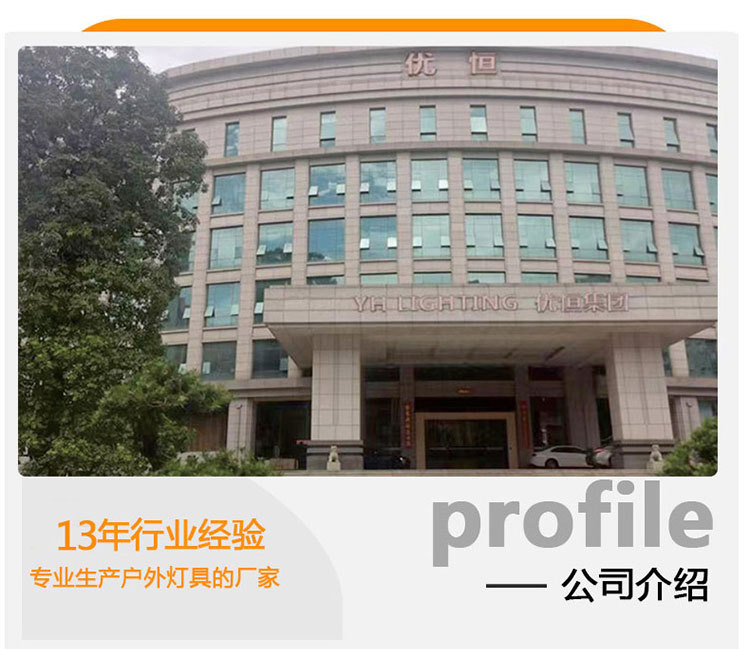 太阳能投光灯一拖二天黑自动亮户外庭院灯超亮照明家用新农村路灯详情56