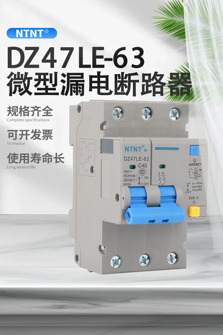 DZ47LE-63微型漏电断路器电网专用保护器小型断路器1P2P3P4P详情1