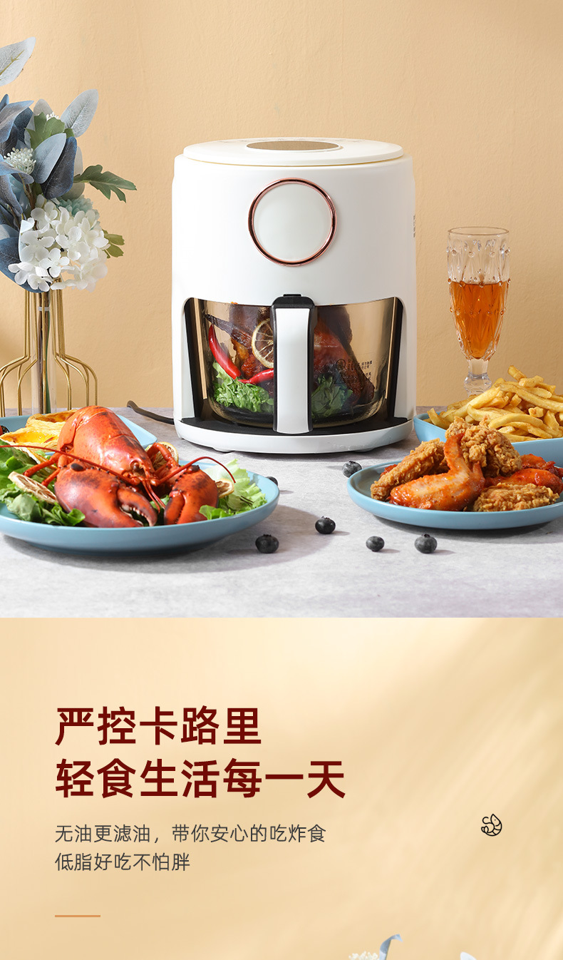 Cross-border AirFryer household air fryer, large-capacity visible electric fryer, Amazon 110V, US and European standard 220V pic 11