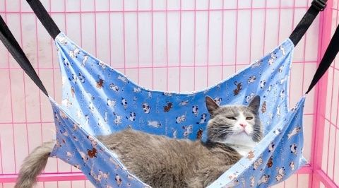 Factory pet supplies canvas cat cages, hammocks with fleece hanging, adjustable length, pet cat hanging beds pic 10