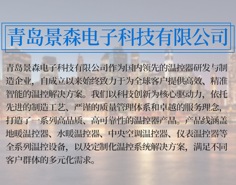 电热毯温控开关电加热护腰膝温度控制器汗蒸仓箱智能定时温控器详情1