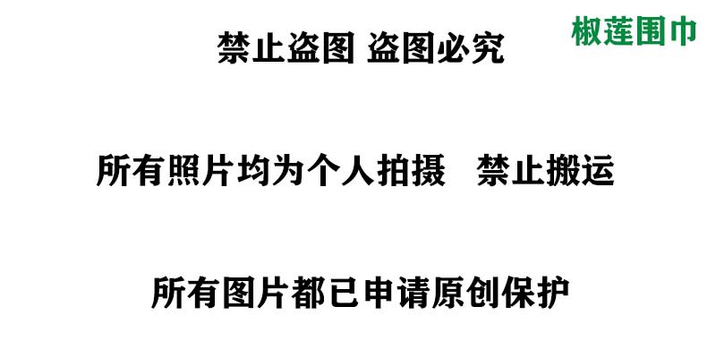 秋冬季千鸟格围巾女   围巾女冬季高级感外贸围巾保暖百搭围巾女详情4