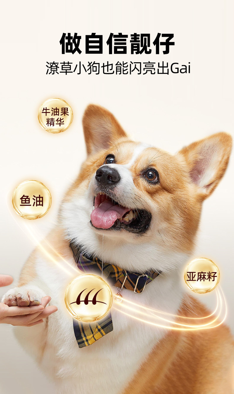 Al Saturday Avocado Full Price Dog Food 10kg, suitable for adult and puppy dogs, Fish Oil, Golden Retriever 3 jin package pic 2
