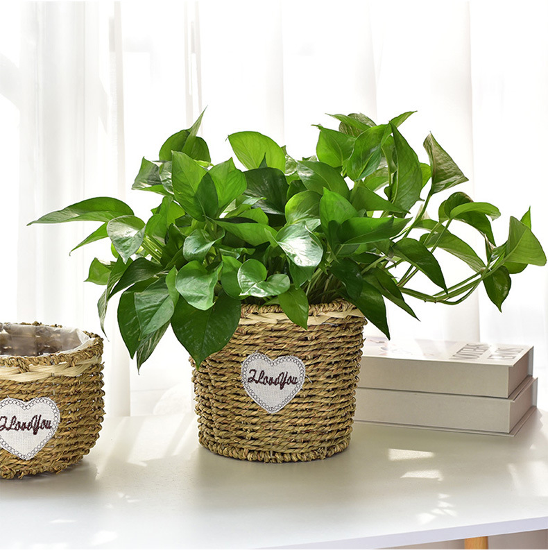 Hand-woven straw flower baskets, European-style country living room, balcony, table decoration, green ivy, green plants, succulents, rattan woven flower POTS pic 4