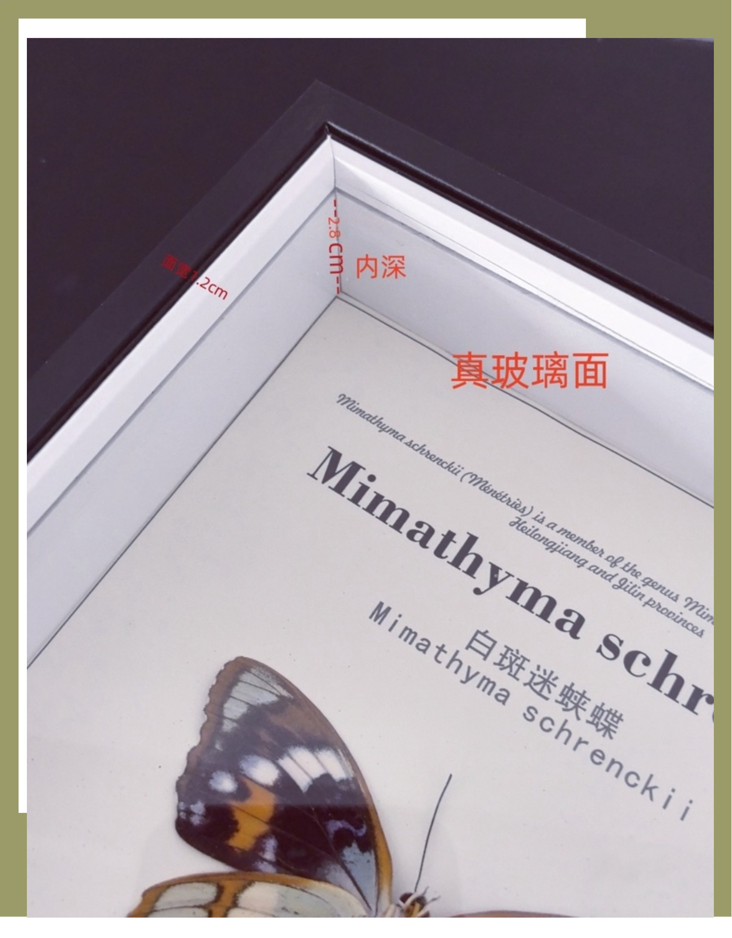相框中空标本框木质玻璃立体黑色蝴蝶昆虫装裱自装摆台展示画框详情41