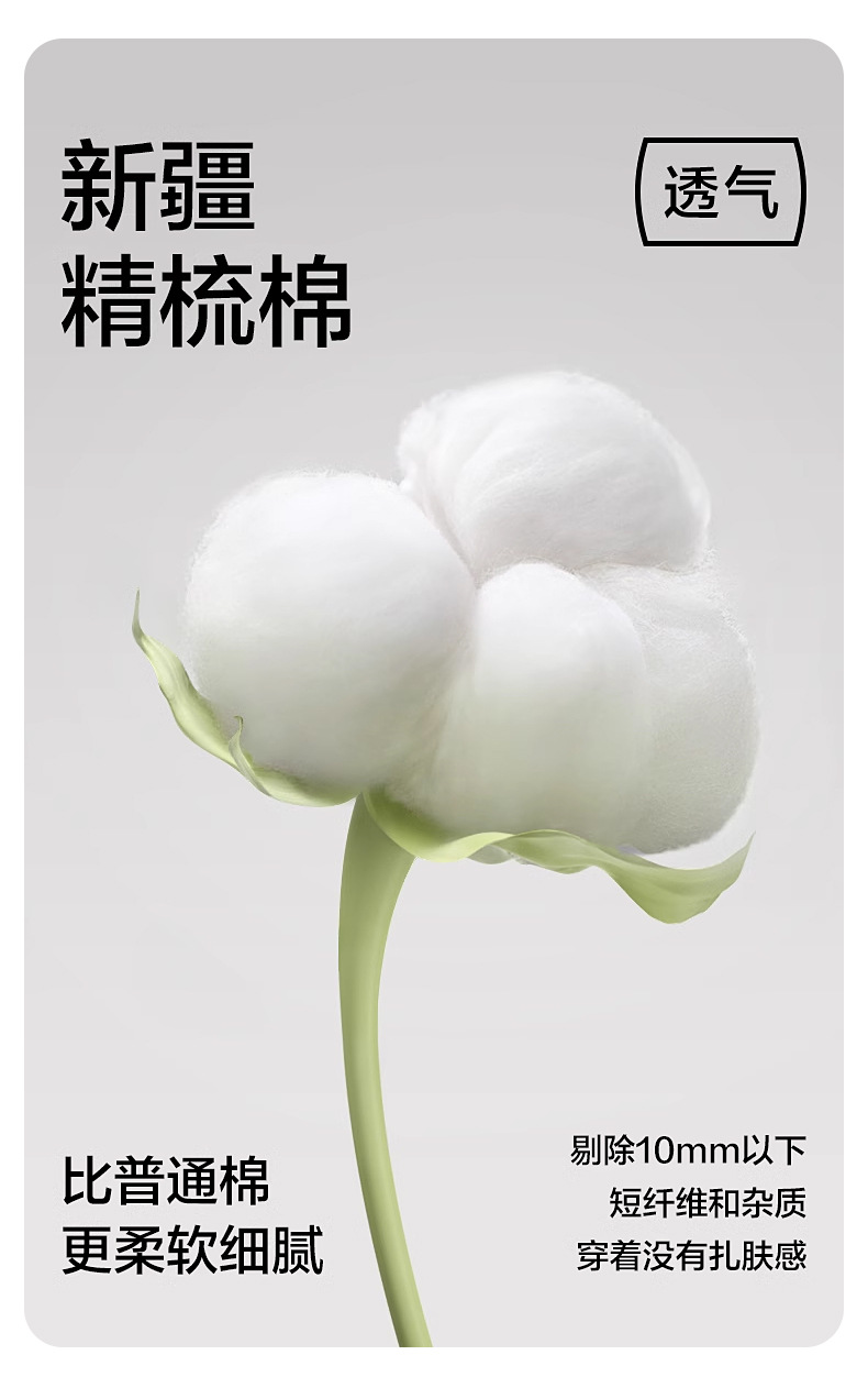 新款女士四角内裤纯棉中腰抗菌无痕加长档防走光大码透气平角短裤详情5