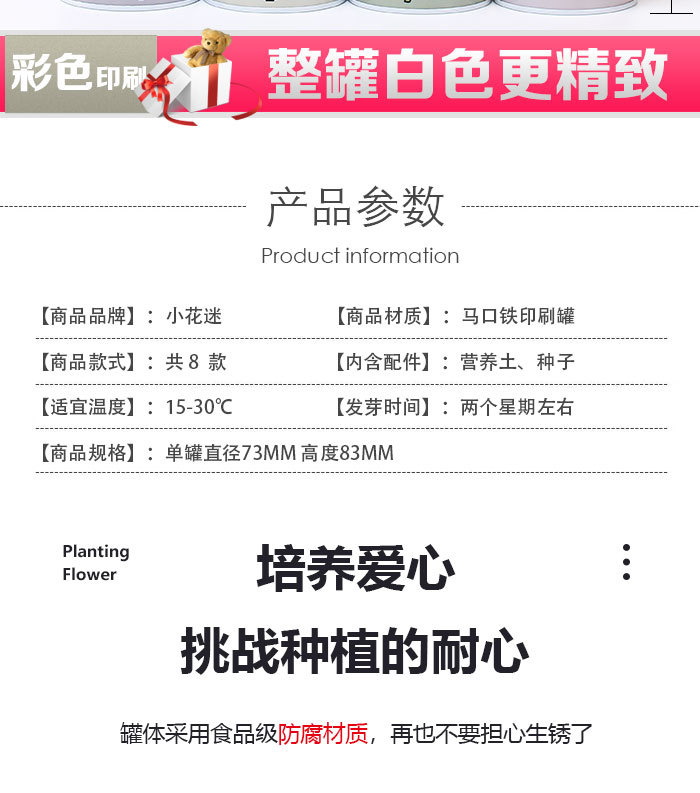 儿童礼物易拉罐植物盲盒桌面小盆栽小学生花卉绿植好养活种子盆栽详情2