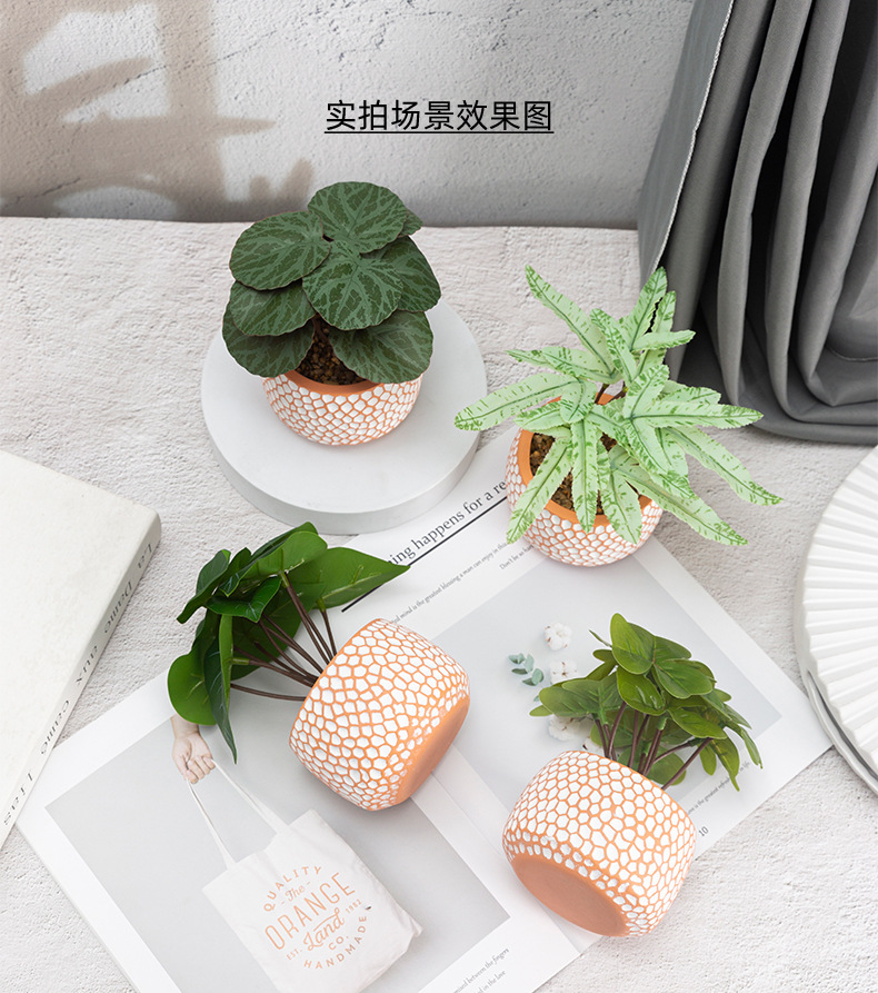 亚马逊创意绿植盆景装饰仿真彩叶芋塑料盆栽宠物园艺盆景批发绿植装饰品详情3