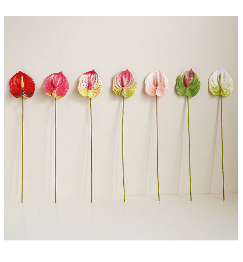 红掌花家居绿植盆栽装饰单支仿真植物插花材料配件3D打印手感仿真枝叶办公文化园艺装饰详情21