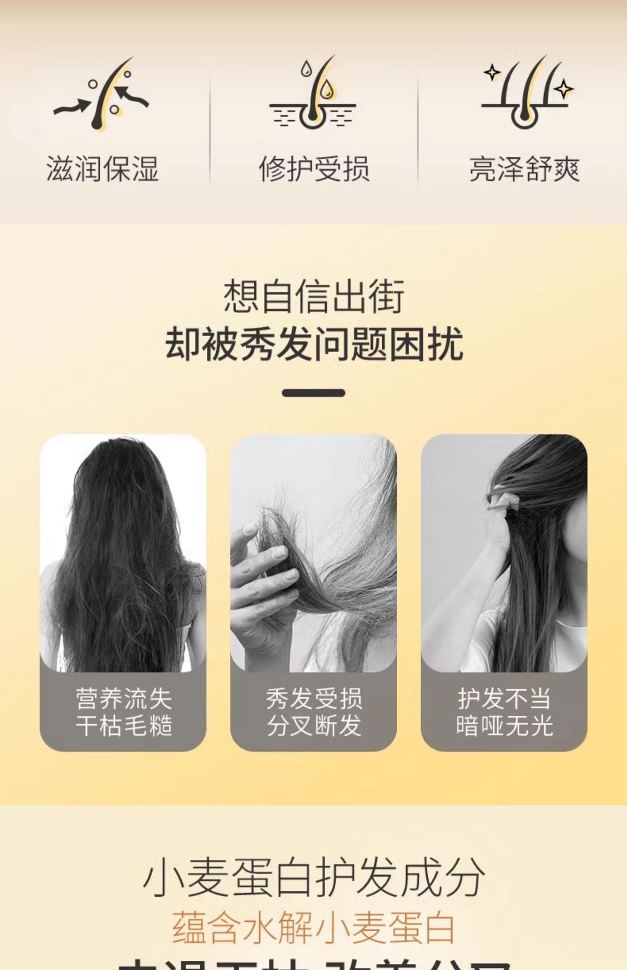 蜂花小麦蛋白护发素300ml保湿润发乳改善毛躁女柔顺顺滑批发代发详情3