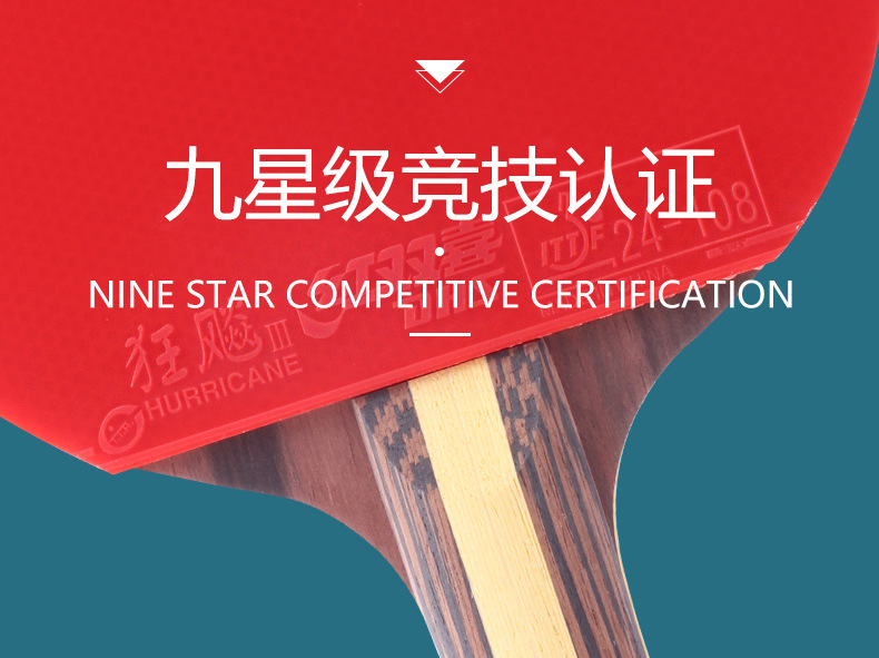 红双喜九星乒乓球拍七星八星天极蓝狂飙龙孙颖莎专业兵乓横拍正品详情13