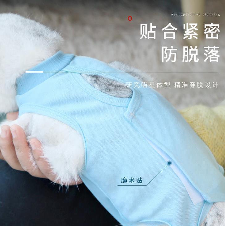 跨境亚马逊母猫透气绝育衣服断奶服猫术后防舔四季可用猫咪绝育服详情7