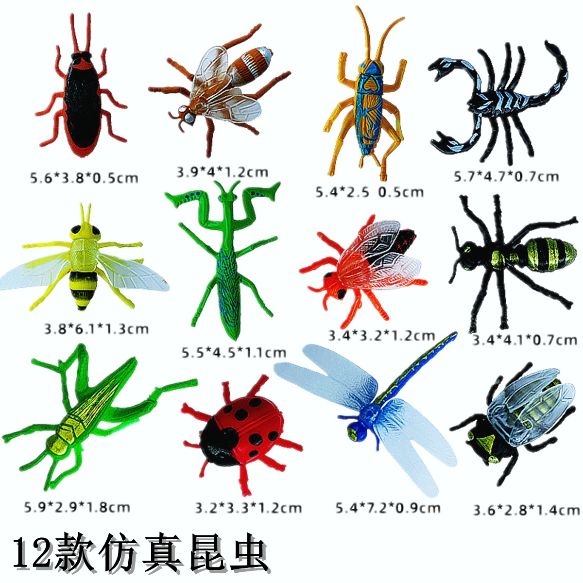 跨境热销仿真昆虫模型儿童早教认知动物模型PVC蜻蜓瓢虫蜈蚣蝎子详情2