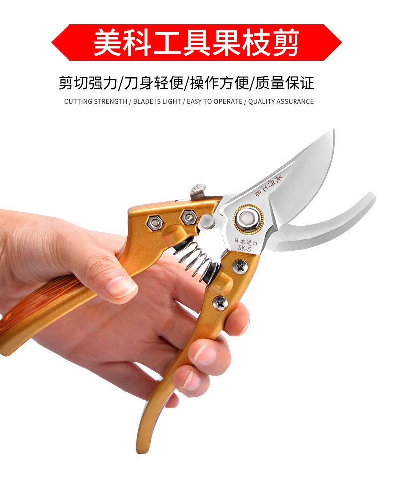 修枝剪园艺剪刀果树剪家用省力修树枝剪子修花工具日本外贸园林剪详情5
