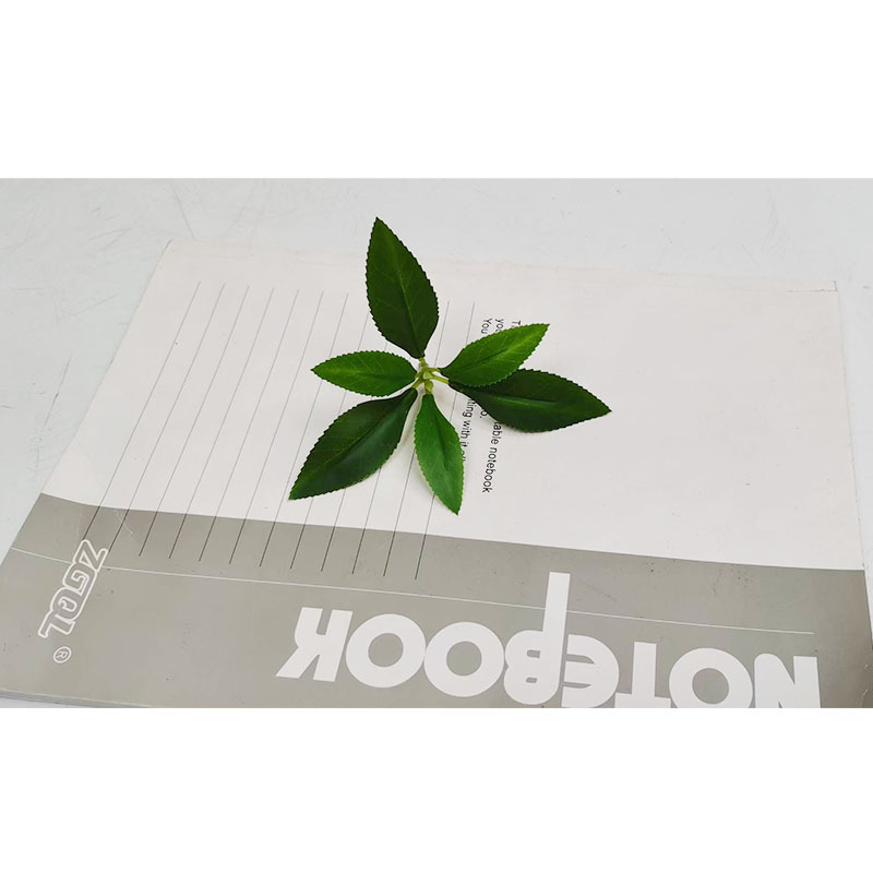 仿真植物马醉木绿植吊钟树叶工程园林造景家居装饰厂家批发马醉木详情13