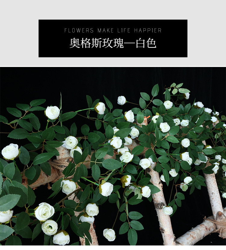 未标题-1_28.jpg
