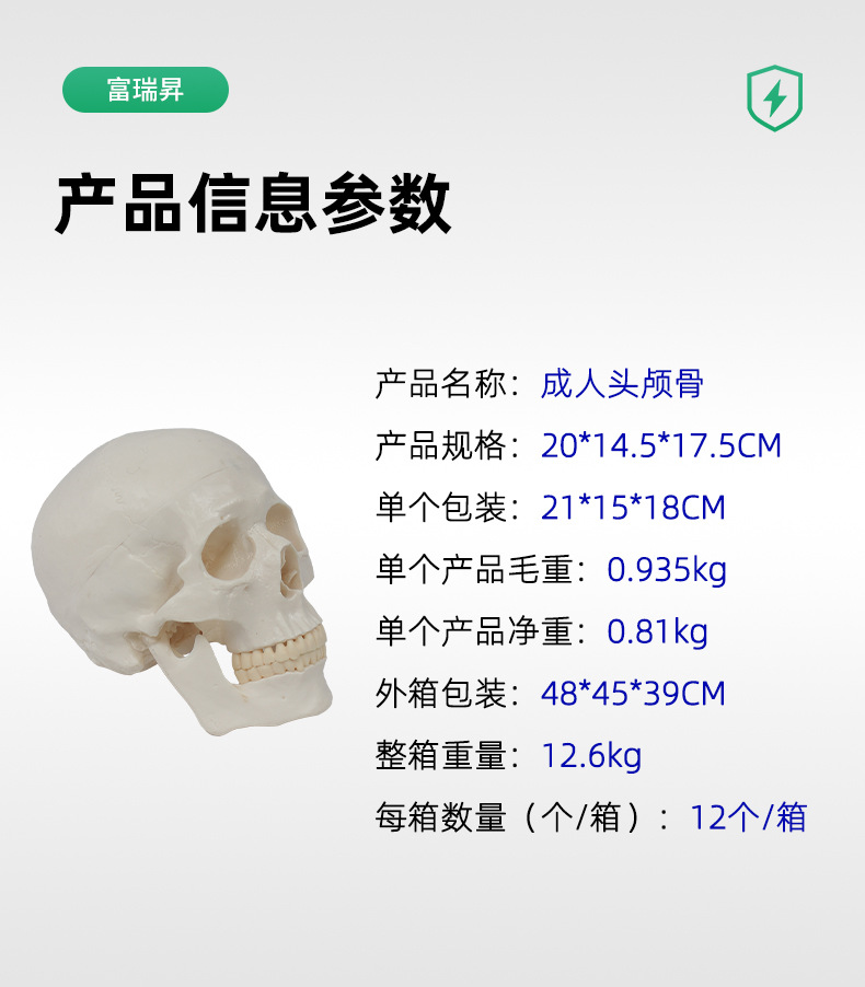 Teaching skull natural adult skull model anatomy teaching model medical college clinical teaching supplies pic 3