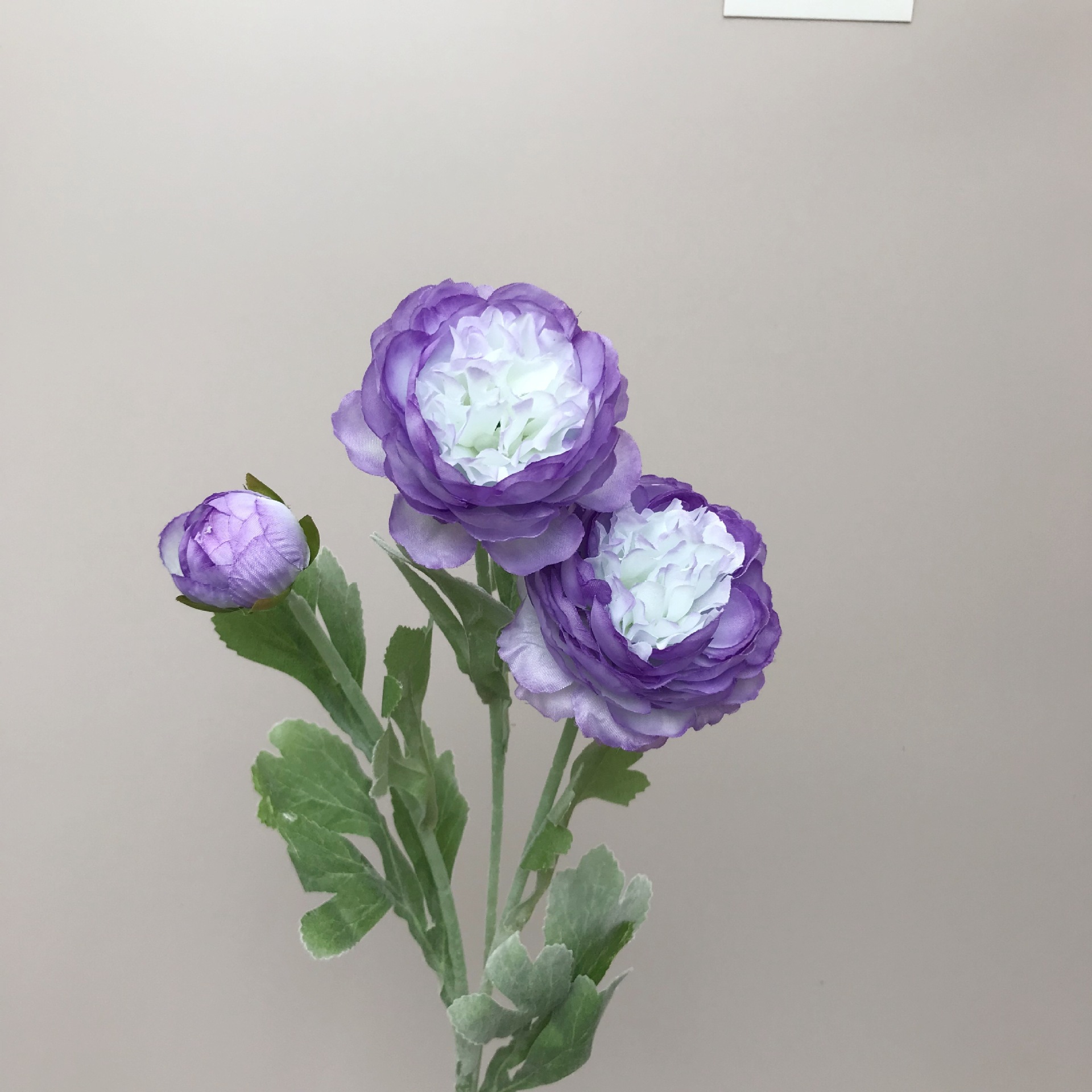 仿真花高级感逼3头洋牡丹露莲植绒场景布置家居装饰绢花批发假花详情6