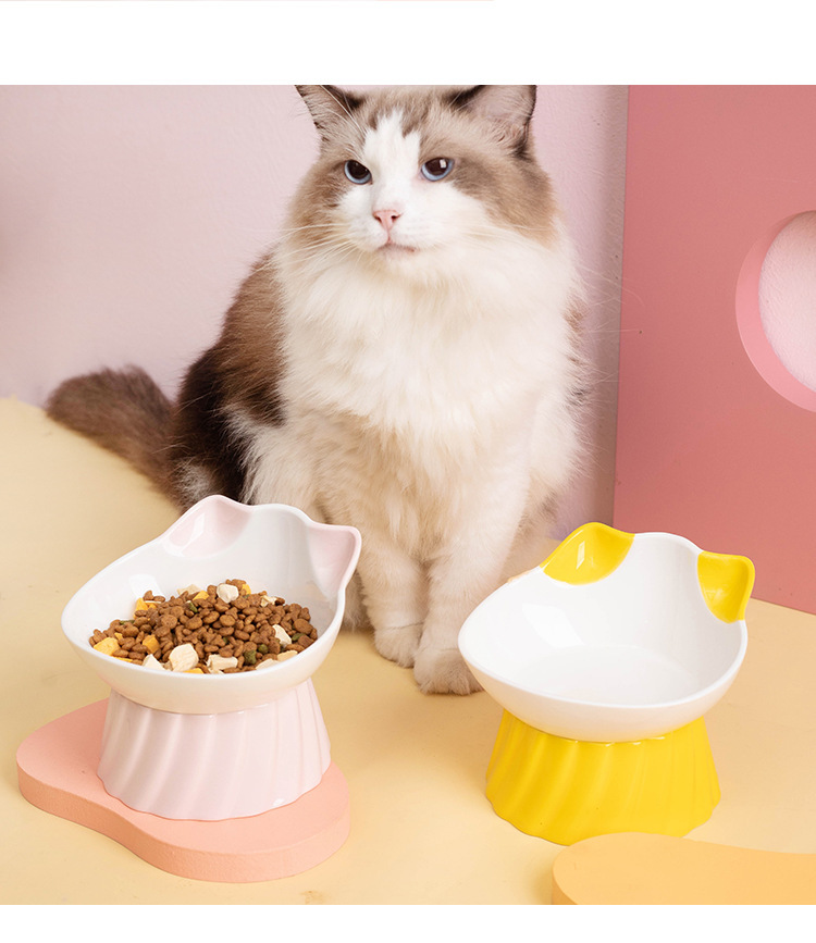 宠物用品猫咪喂食碗宠物食盆猫咪循环饮水机宠物碗宠物喂食器宠物餐具宠物喂养用品详情13