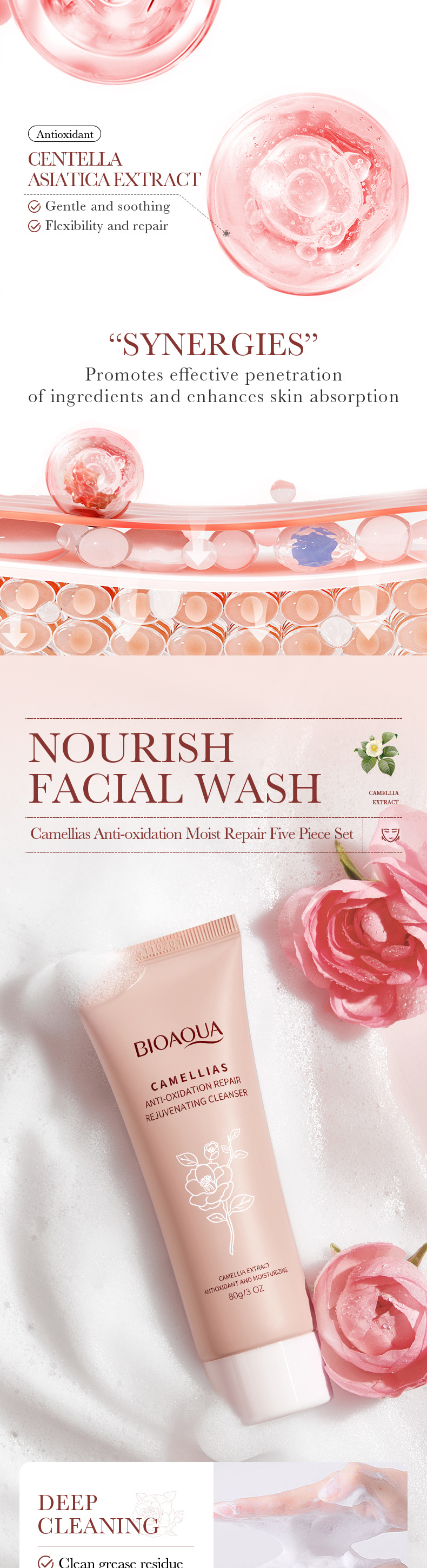 Cross-border export wholesale of all-English Camellia Five-piece set BIOAOUA Hydrating and Moisturizing Skin Care products Box pic 6