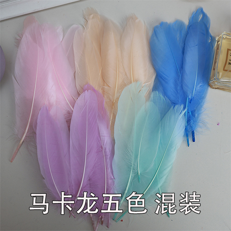 羽毛批发马卡龙鹅毛幼儿园手工diy彩色羽毛大飘装饰美术课材料详情15