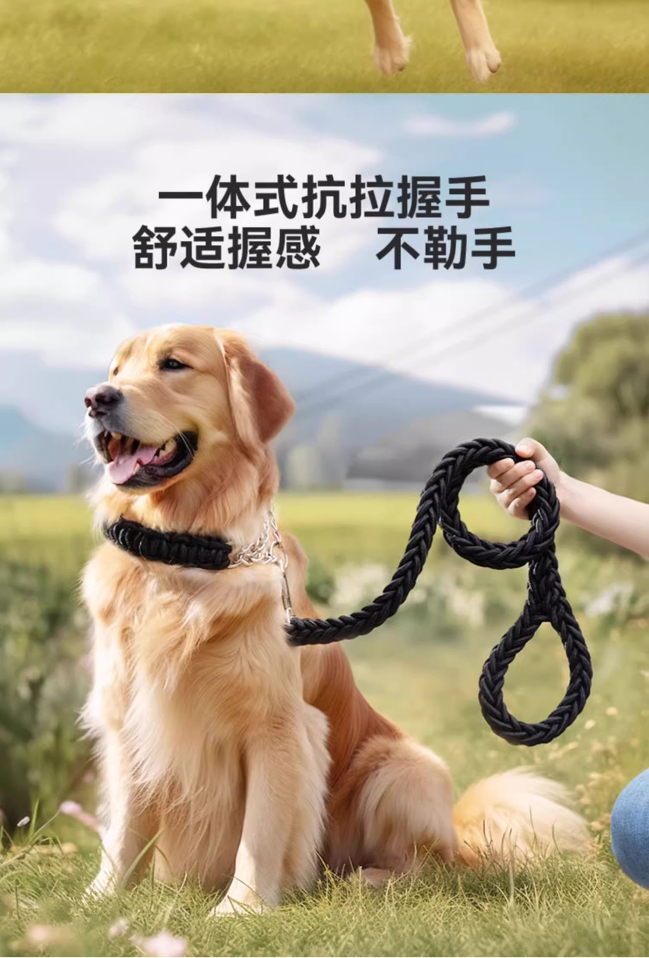 狗狗牵引绳中型大型犬金毛狗绳子拉布拉多狗链子狗脖圈狗项圈p链详情21