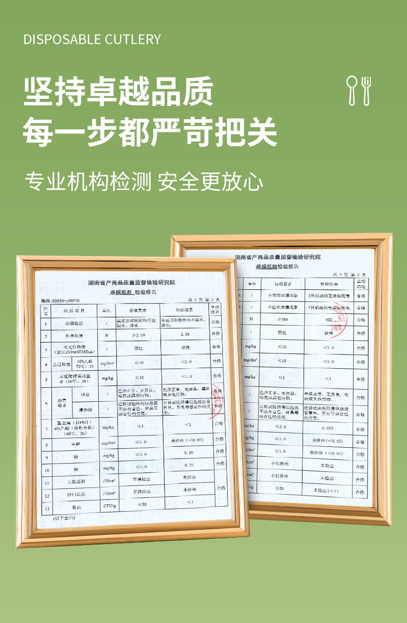 一次性餐具套装全套加厚家用碗筷食品级户外野餐露营10人份套装详情6