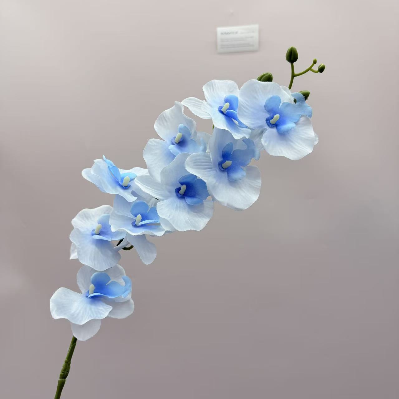 跨境仿真蝴蝶兰9头绢布客厅插花仿真花婚庆路引布景吊顶假花批发详情13