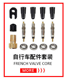 Bicycle valve adapter, bicycle air pump conversion nozzle, bicycle accessories, air nozzle valve adapter SV AV DV pic 8
