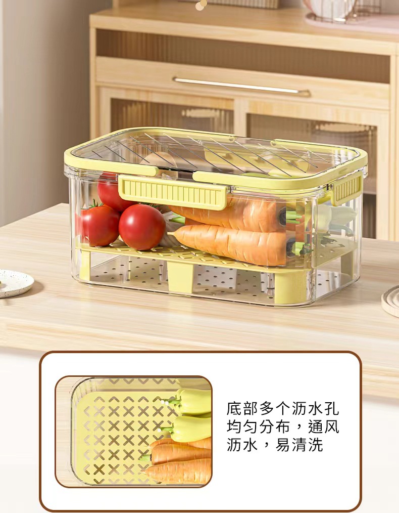 手提保鲜盒户外露营野餐盒外出便携移动食品收纳盒冰箱水果便当盒详情1