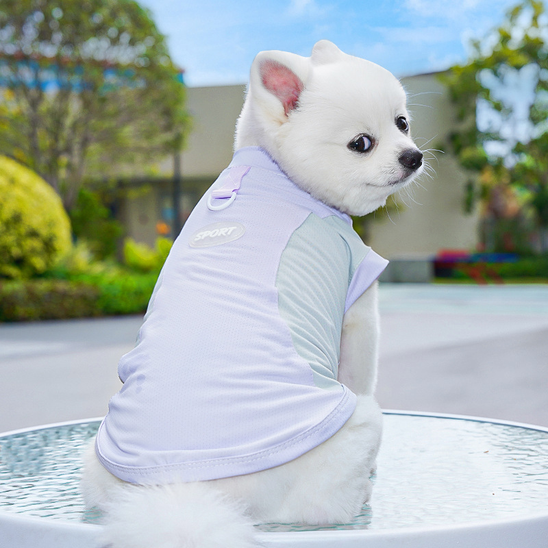春夏季狗狗用品猫咪冰丝猫背心小中型犬外出防晒狗衣服宠物衣服详情23